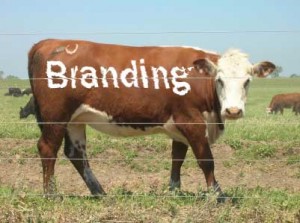 Who Cares About Branding? Who Cares About Branding?