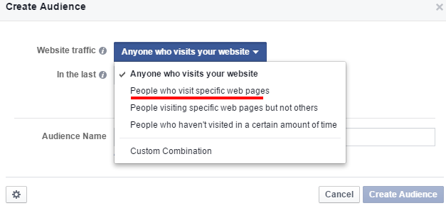 custom-audience-past-website-visitors-visiting-specific-page