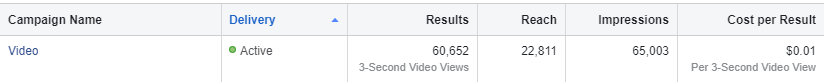 Facebook Real Estate Video Ad Results