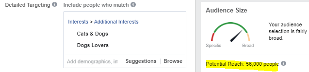 Facebook Ads Audience Size