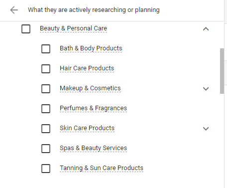 Google In-Market Audiences Beauty and Personal Care