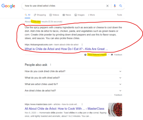 featured snippet example within Google search results