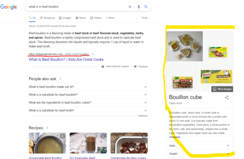 knoledge panel in Google Search Results Page
