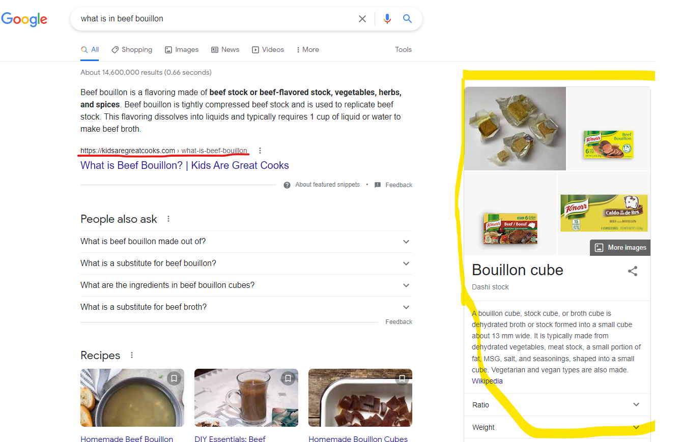 knoledge panel in Google Search Results Page