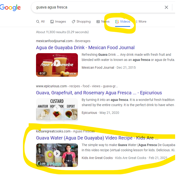 video feature in Google search results page