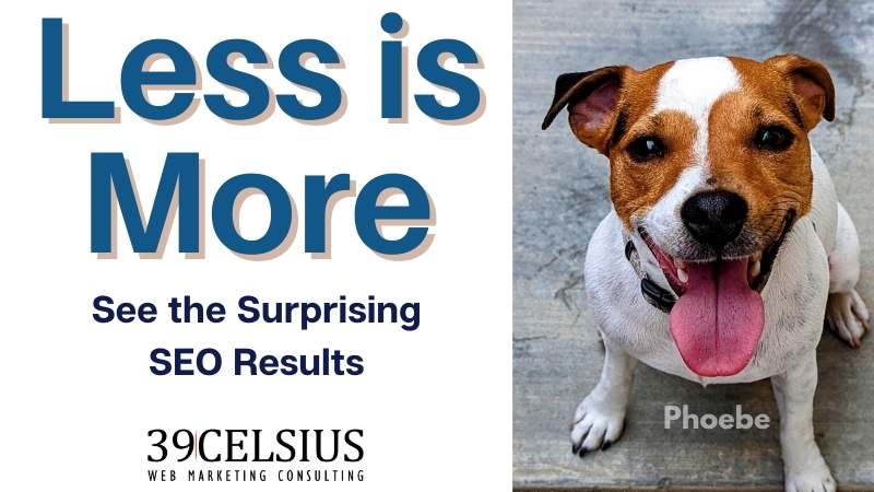 Less is More for SEO