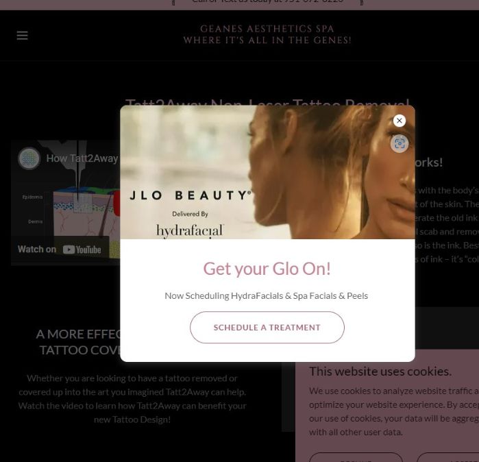 Example of Poor Low Performing Landing Page
