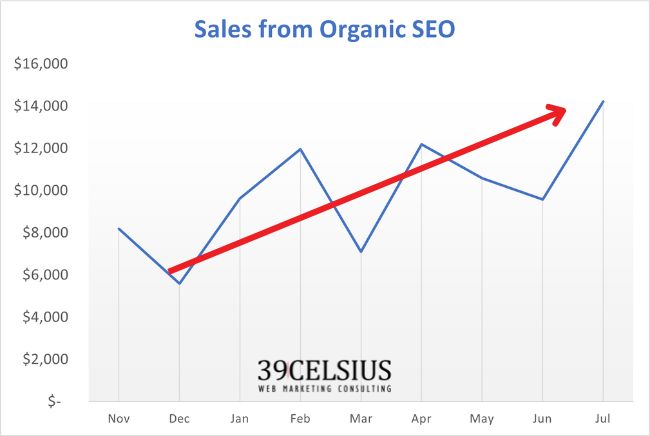 Does Google Ads Cannibalize SEO - Sales By Month from SEO