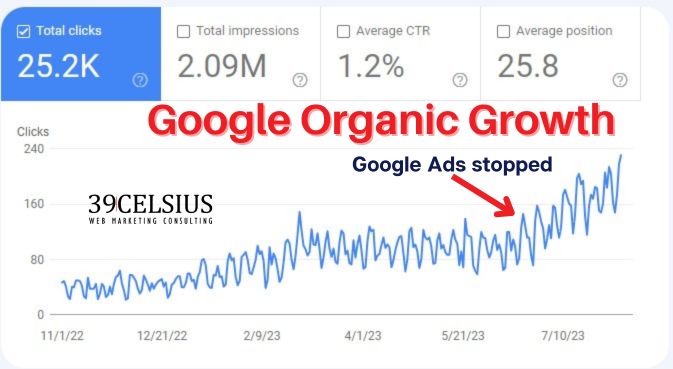Does Google Ads Cannibilize Organic - 9 Month Google Organic Growth Chart