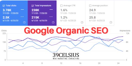 Does Google Ads Cannibilize SEO - Month Over Month Clicks Impressions