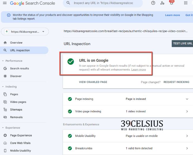 Using Google Search Console for SEO - Results if Google Has Indexed The Page