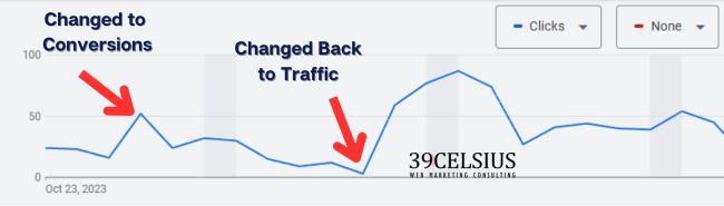 Google Ads Changed Bidding to Conversions from Traffic - Killed Clicks