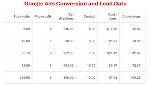Google Ads Conversion and Lead Data