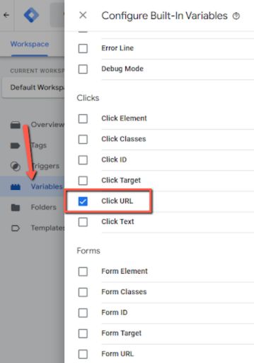 Google Tag Manager - Enabling Trigger Variables