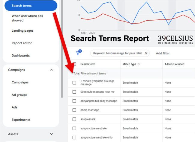 Google Ads - Check for Search Terms That Do Not Apply Google Ads - Check for Search Terms That Do Not Apply
